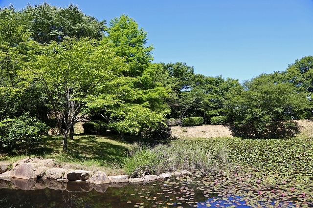 a0242438_19515097.jpg