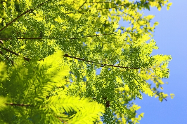 a0242438_19530204.jpg