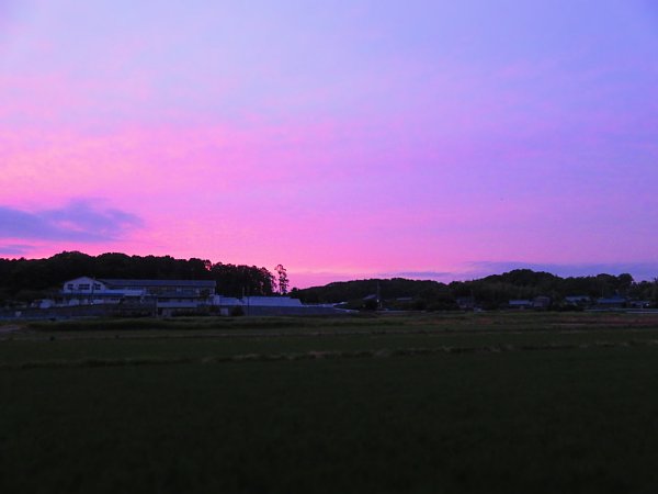 2017年6月30日　六月の空_b0341140_2093781.jpg