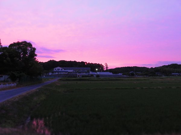 2017年6月30日　六月の空_b0341140_209433.jpg