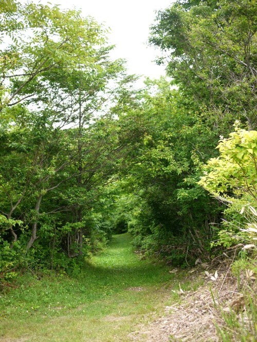 f0191444_17000241.jpg