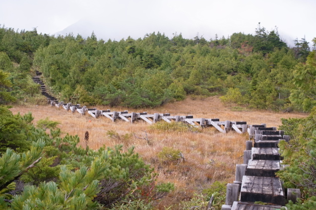 上州～上信越～尾瀬登山の旅　47　（燧ケ岳） 　　_a0288155_14404977.jpg