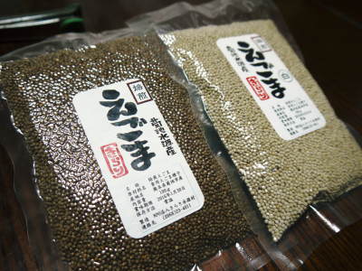無農薬・無化学肥料で育てる「菊池水源産エゴマ」 『白えごま油』再入荷!白えごまの成長と黒エゴマの播種!_a0254656_18051576.jpg