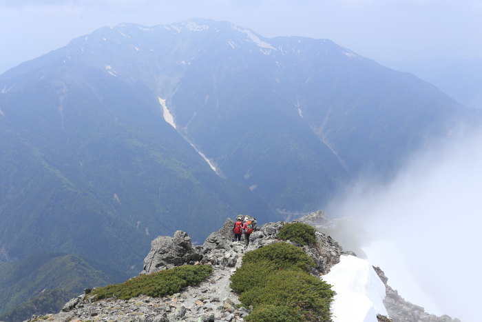 キタダケソウに会いに行く　北岳　170624-25　後編_e0338862_20012701.jpg