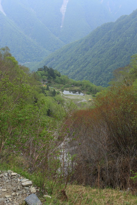 e0338862_20062402.jpg