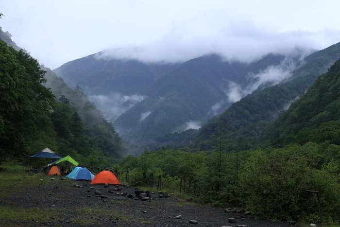 キタダケソウに会いに行く　北岳　170624-25　後編_e0338862_20244216.jpg