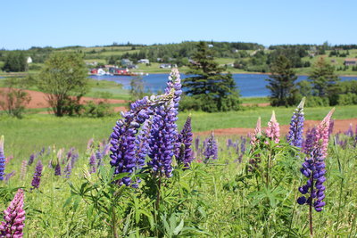c0353373_23584622.jpg