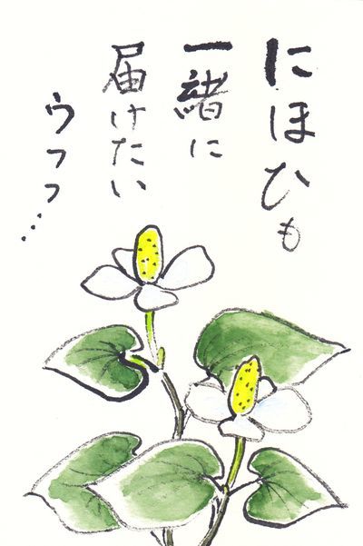 絵手紙 梅雨 たまこ庵 備忘録 絵手紙 梅雨 たまこ庵 備忘録