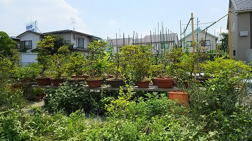 e0020682_16212761.jpg