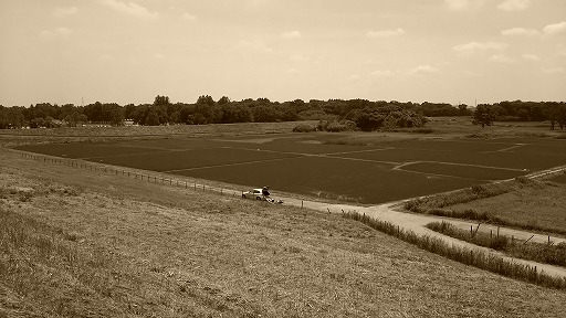 e0020682_16391677.jpg