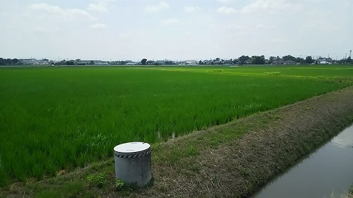 e0020682_17115028.jpg