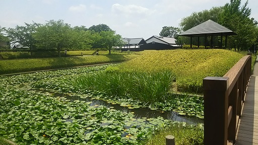 e0020682_17231098.jpg