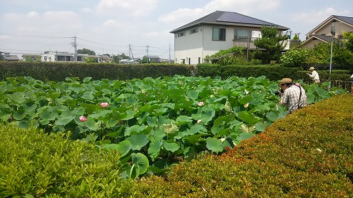 e0020682_17242010.jpg