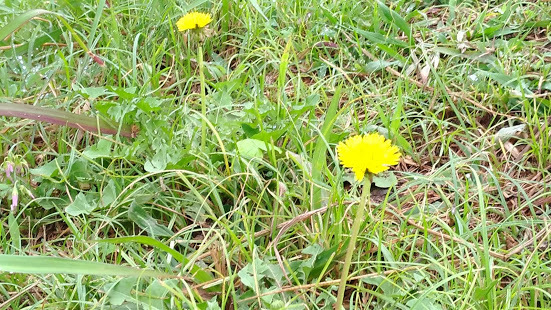 f0053885_20243383.jpg