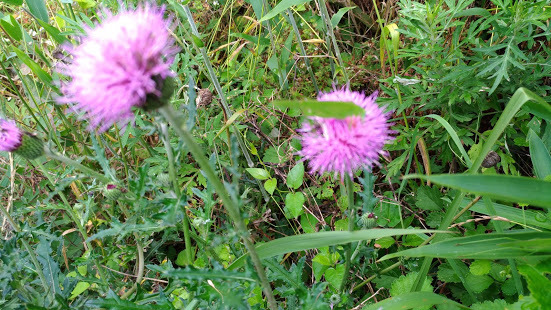 f0053885_20264892.jpg