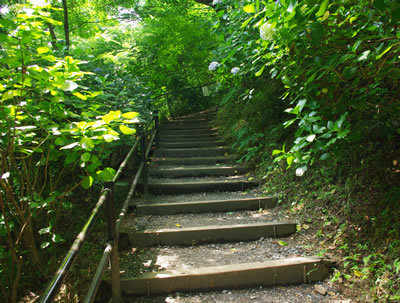 b0123486_22223151.jpg