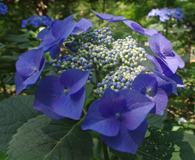 b0123486_22383938.jpg
