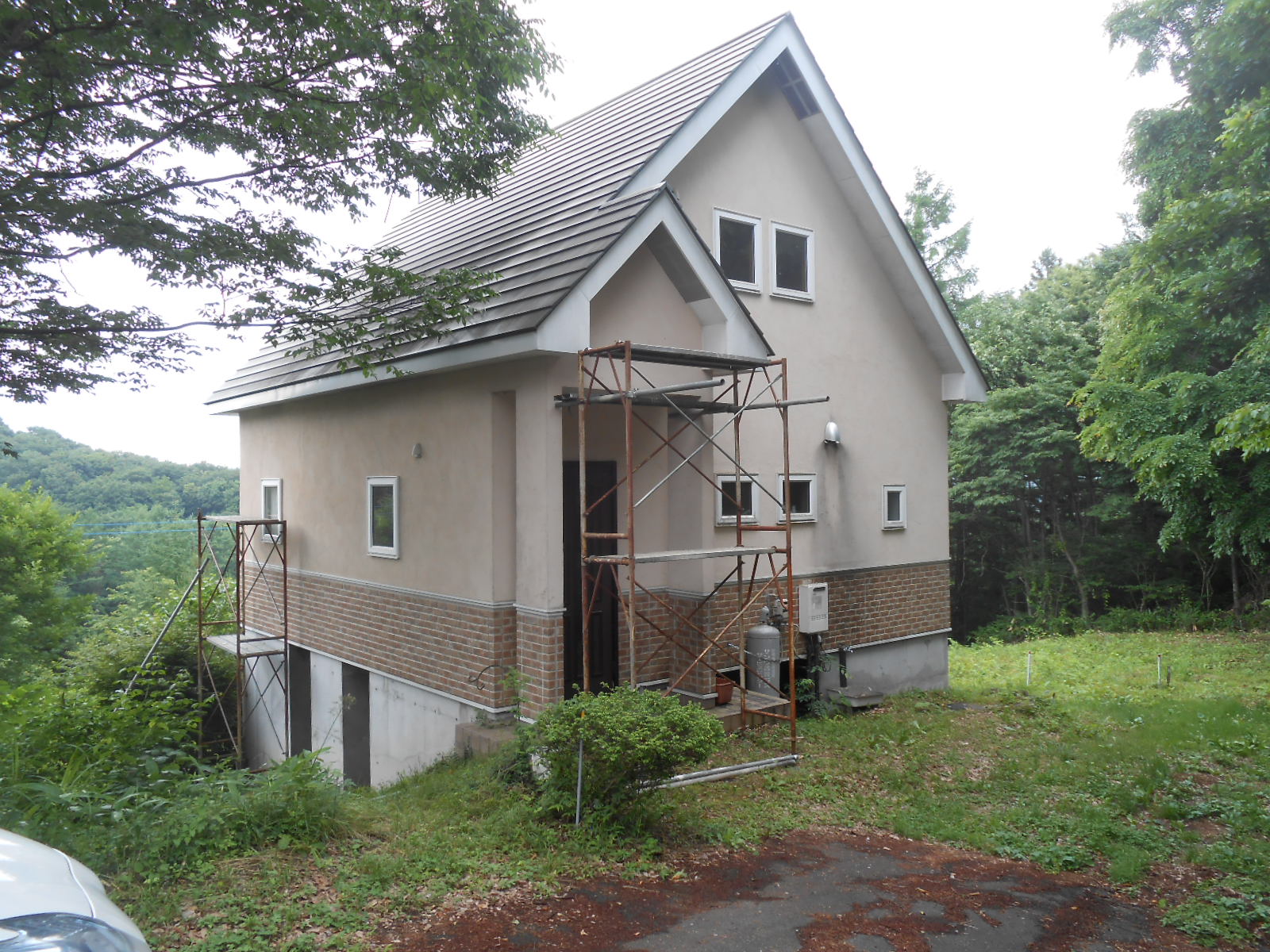 キツツキ君_c0066693_839393.jpg