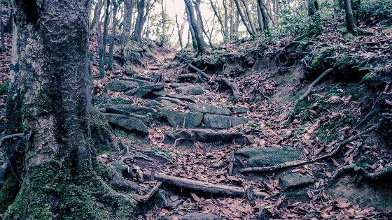 e0176993_15200334.jpg