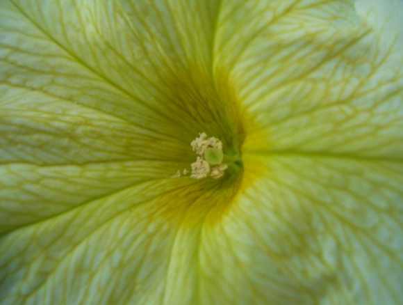 f0346196_13184327.png