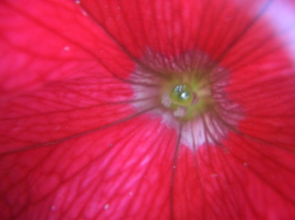 f0346196_13190082.png