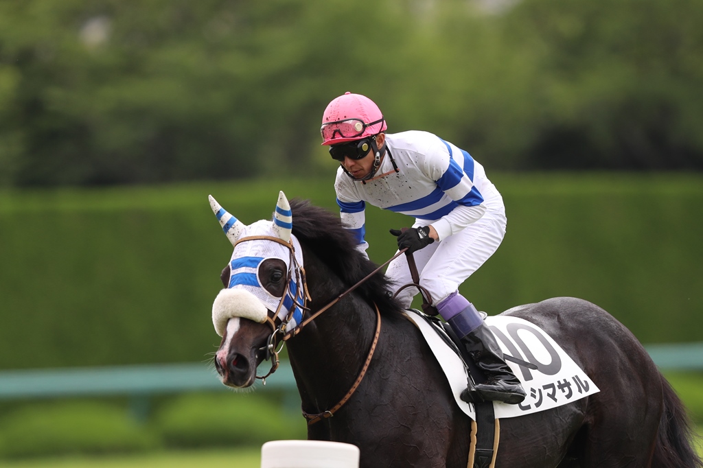 2017年6月24、25日　祝3900勝＆宝塚記念_f0204898_765616.jpg