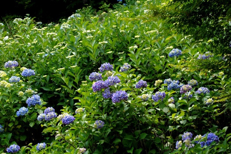 f0361605_22143770.jpg