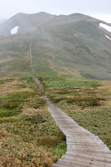 花の山 平標山〜仙ノ倉山_a0309917_16545747.jpg