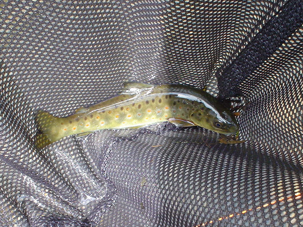 f0280717_14032002.jpg