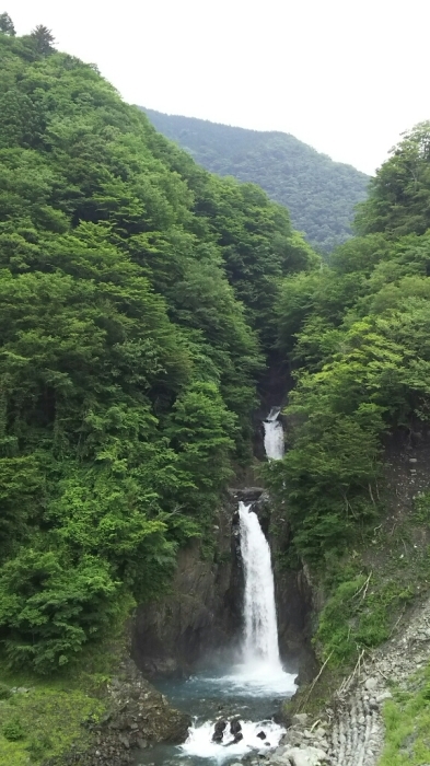 大人の遠足「隠れ茶の里へ」行ってまいりました♪_a0169924_21102389.jpg