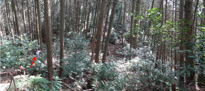 e0033751_1518175.jpg