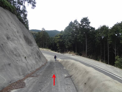 e0033751_15182475.jpg