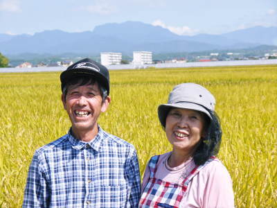 七城米　長尾農園　田植え前までの様子　美しすぎる苗床の苗の成長と惜しまぬ手間ひまの代かき作業_a0254656_18434363.jpg