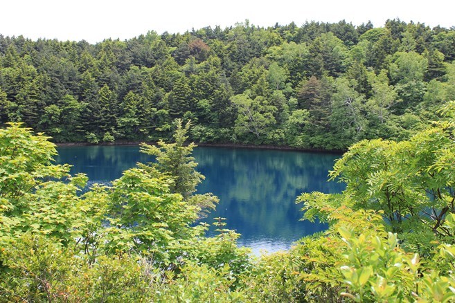 e0239458_21004783.jpg