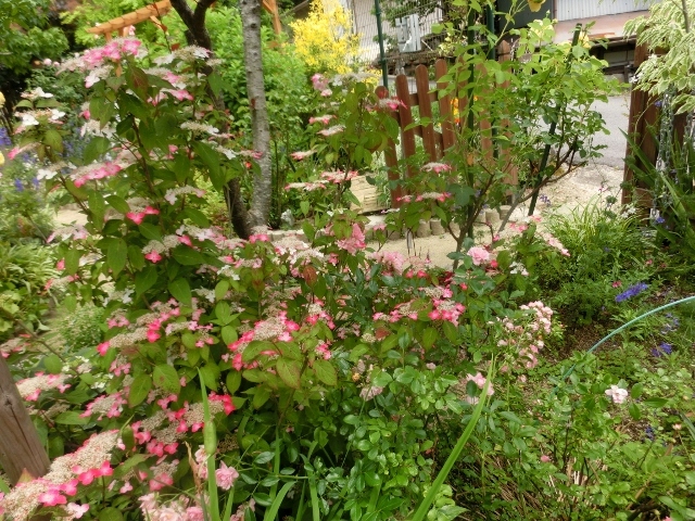 c0328559_17010502.jpg