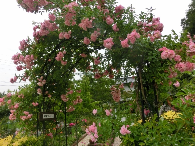 c0328559_17013137.jpg
