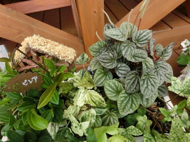c0328559_17100851.jpg