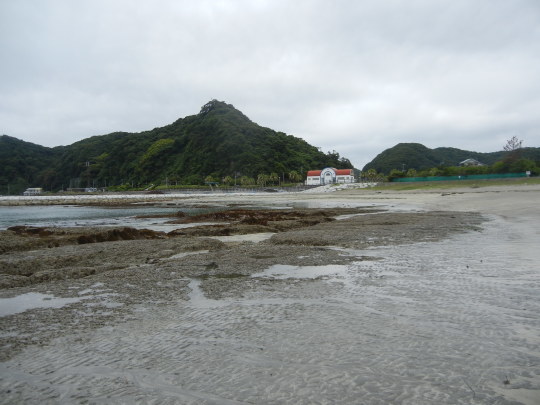 ’17,6,27(火)興津海岸までの3時間散歩!_f0060461_08422817.jpg