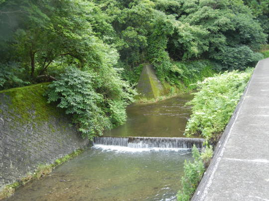 ’17,6,27(火)興津海岸までの3時間散歩!_f0060461_09051921.jpg