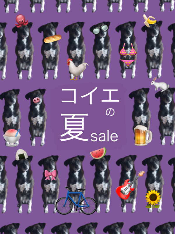 夏sale_e0248762_08355308.jpg