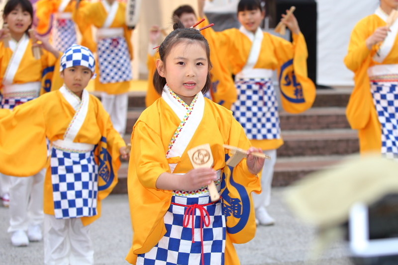 土佐の「おきゃく」2017「よさこい春の舞」 大橋通り踊り子隊_a0077663_06543484.jpg