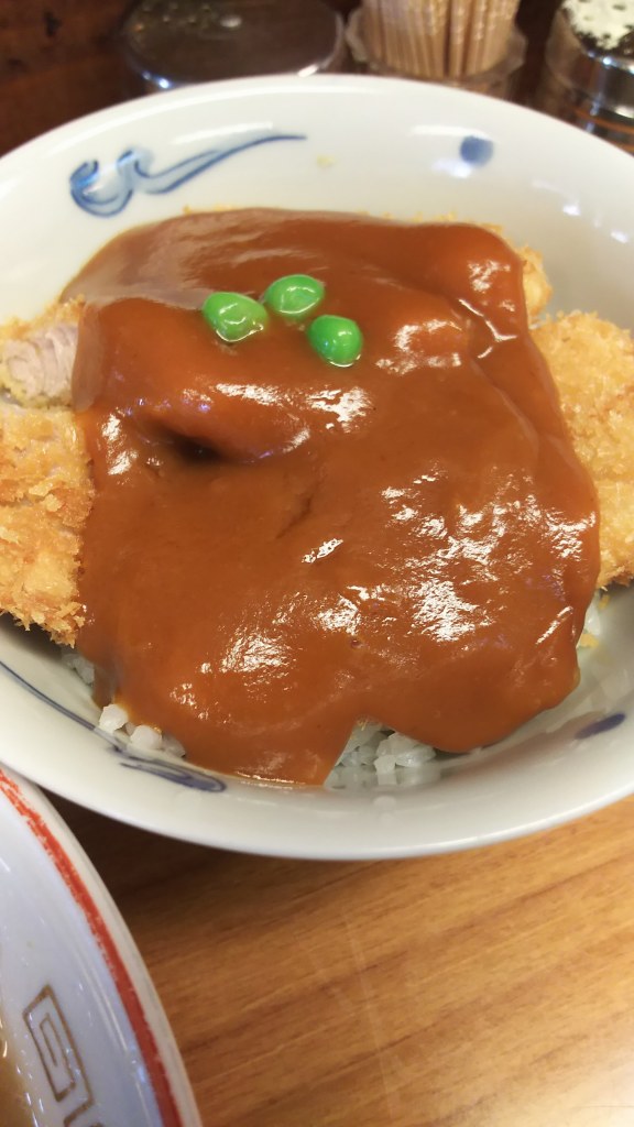 エヴァンゲリオン新幹線　→　やまと（ラーメンとカツ丼）_f0374164_14591534.jpg