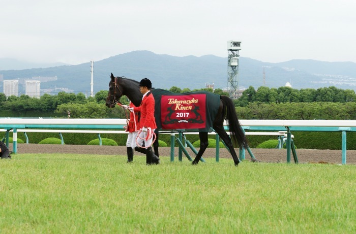 まさかまさかの宝塚記念（２）_b0173867_13365920.jpg