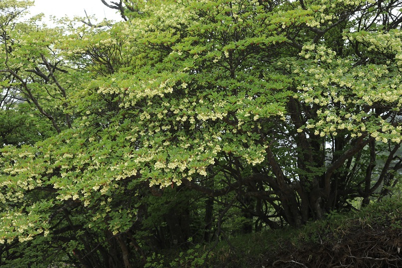e0304170_19321285.jpg