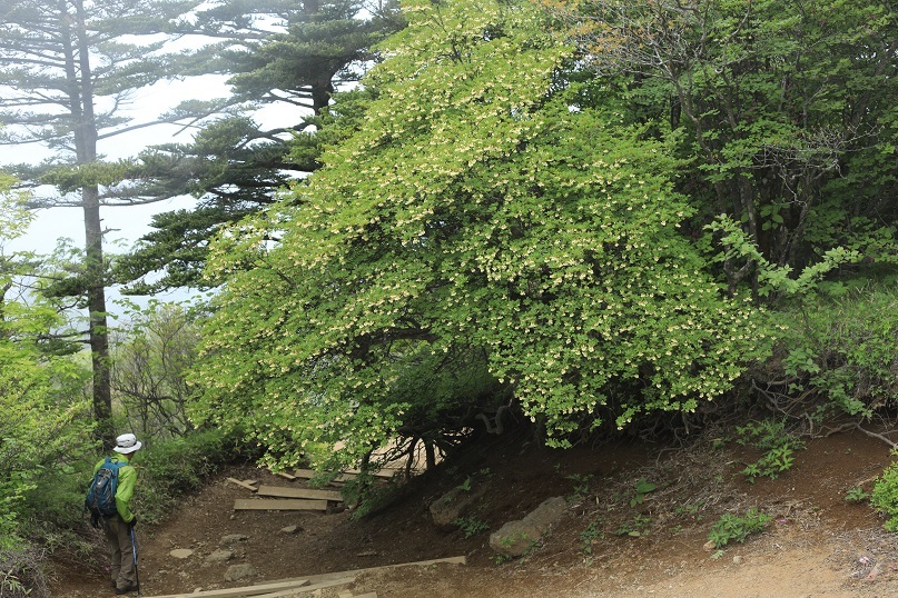 e0304170_19322742.jpg