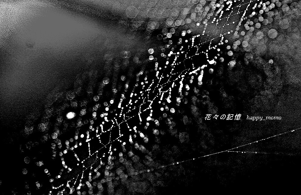 c0357781_08410130.jpg