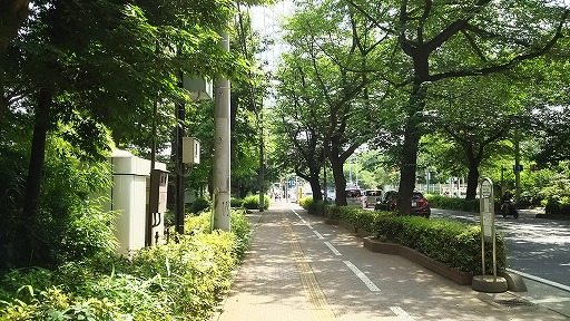 e0020682_10294124.jpg