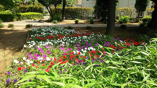 e0020682_1030891.jpg