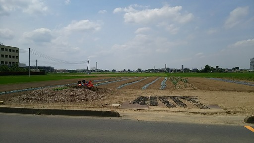 e0020682_1085525.jpg