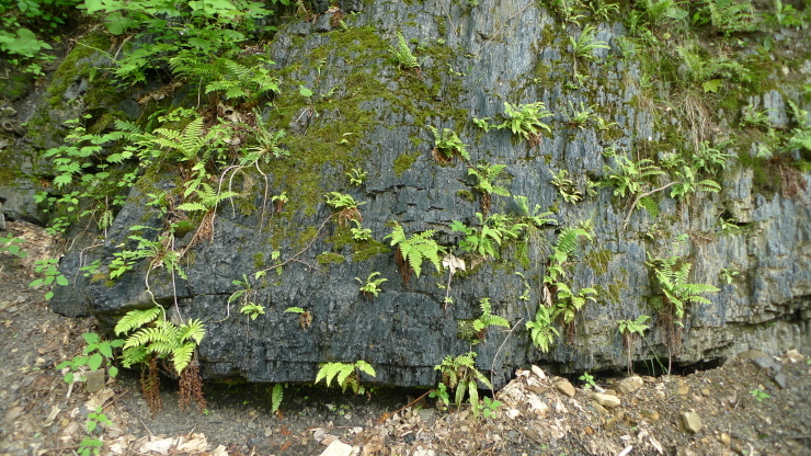 c0212083_18020109.jpg